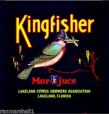 Lakeland Florida Kingfisher Bird #1 Orange Citrus Fruit Crate Label Art Print