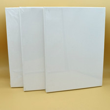 NEW 3 Lot Value Pack Canvas Framed 12" x 9" For Students & Artists