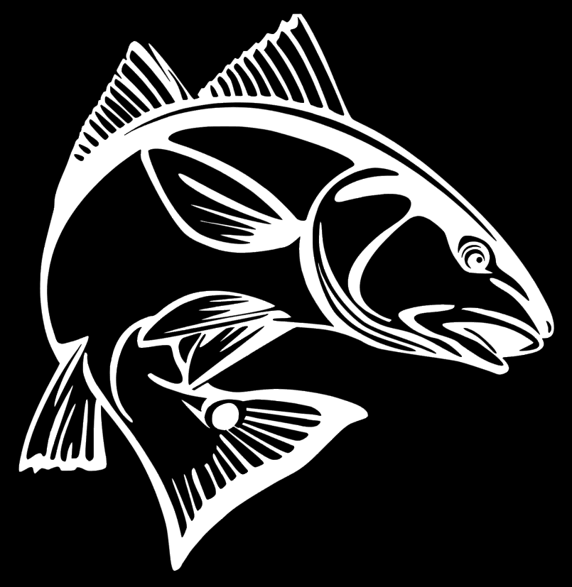 Redfish, Red Drum Vinyl Decal, Bumper Sticker, Fishing, Boat, Windows ...