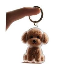 Dog Hair Collector Keychain Charm Memorial Storage Box, Transparent Bottle F