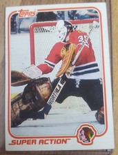 1981-82 Topps #W126 Tony Esposito SA  Goalie Chicago Black Hawks