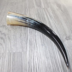 1 Polished Cow Horn #4163    Natural Colored