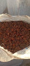 BIOMASSA GUSCI DI NOCCIOLA 500 kg BIOMASSA BIOCOMBUSTIBILE STUFA CALDAIA FORNO 