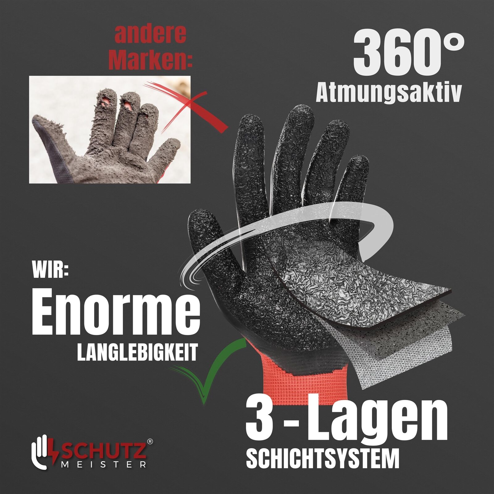 Bild 4 von 8