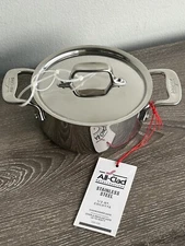 All-Clad Stainless Steel 1/2 Quart Cocotte Mini Pot with Lid