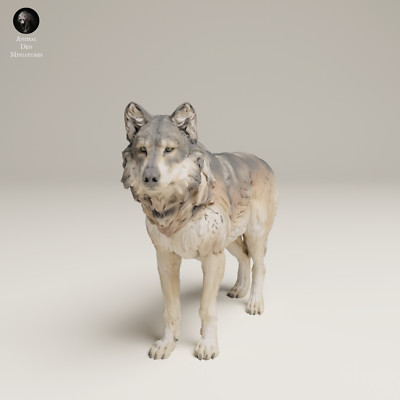 Grey Wolf 3d Resin printed Model Railroad Diorama Wild Animal Unpainted