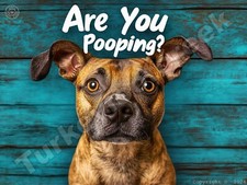 Are You Pooping Dog Metal Sign 3 Sizes to Choose From a66