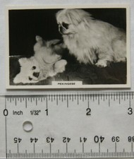 1939 Senior Service Dogs No. 12 Pekingese