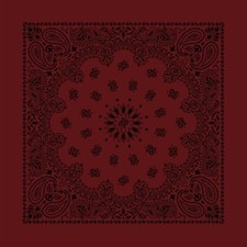 Carolina Creative Bandanna Burgundy Contemporary Paisley 22" x 22" 100 Cotton