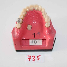 Go Dent Schaumodell Nr.  1  (bezahnt) wie abgebildet Art. Nr. 735