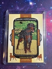 2017 Upper Deck Goodwin