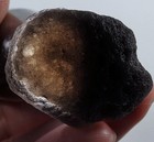 71Ct Natural Indonesian Tektite Agni Manitite Facet Rough Specimen YBLY1838 — photo 1