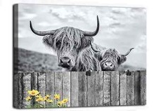 Highland Cow Wall Art Black and White Canvas Print Highland Cow Picture Wall ...