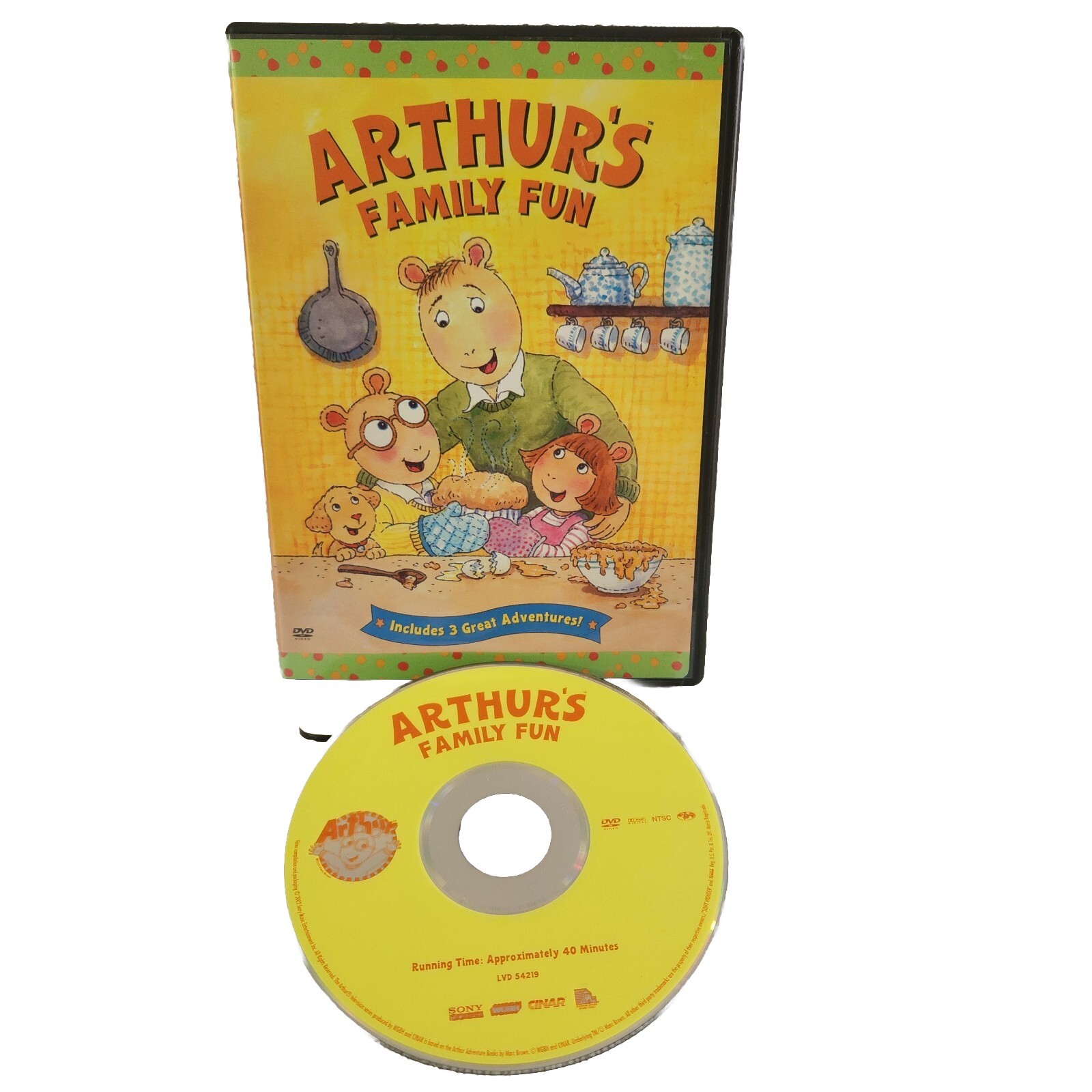 Arthur Arthur's Family Fun DVD Video 2003 PBS Kids Children's Movie