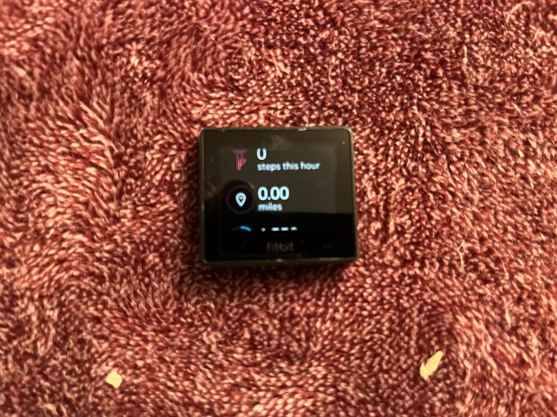 Fitbit Watch - Without Band