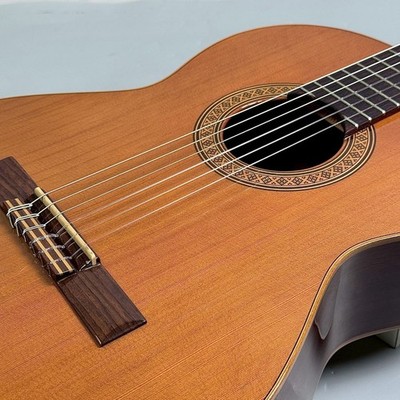 Raimundo 118C Classical Guitar with Wear and Scratches, No Case | eBay