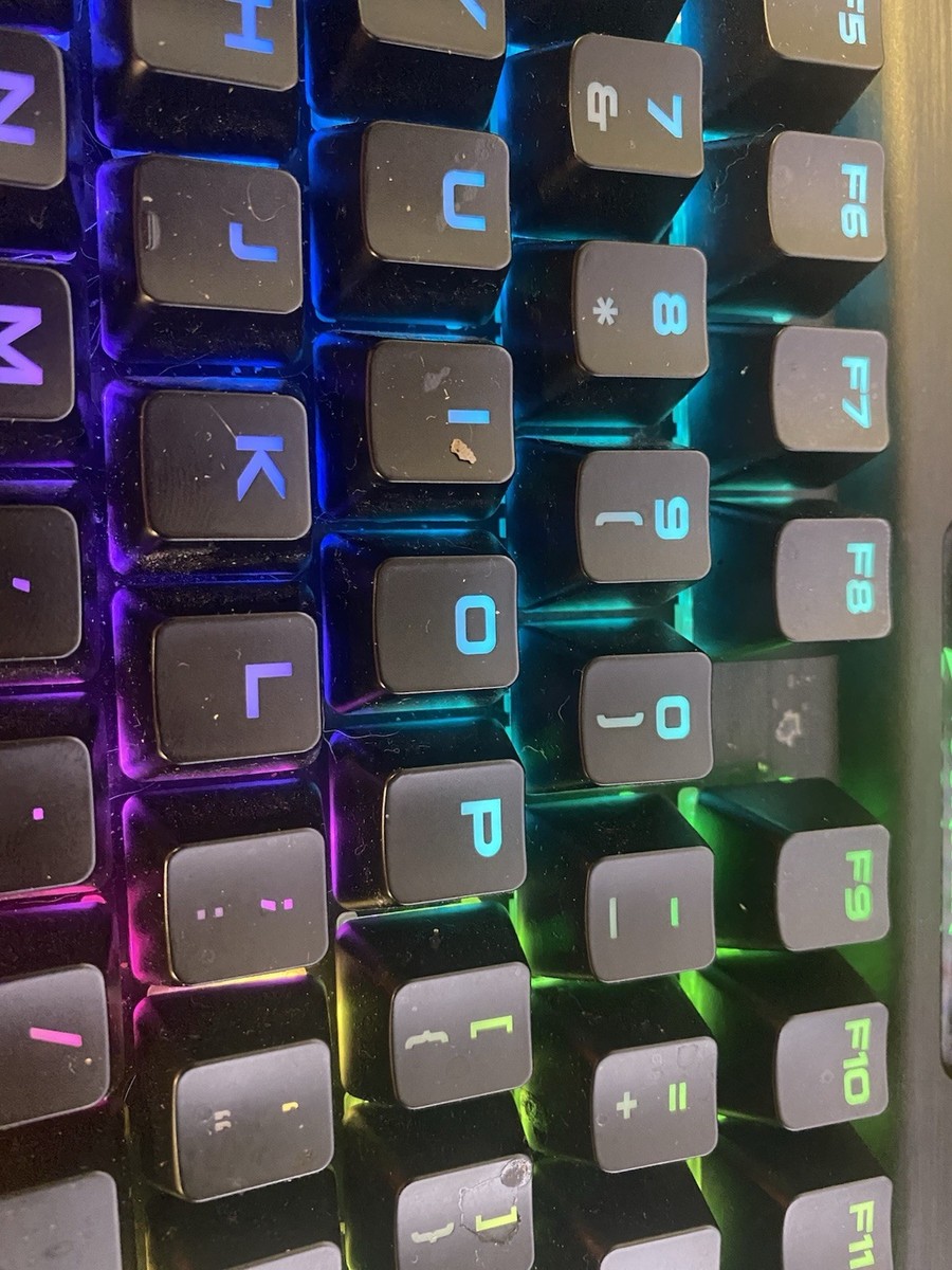 kimidoriページ Play Kimidori by KIMIDORI on Amazon Music