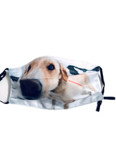Dog Face Face Mask