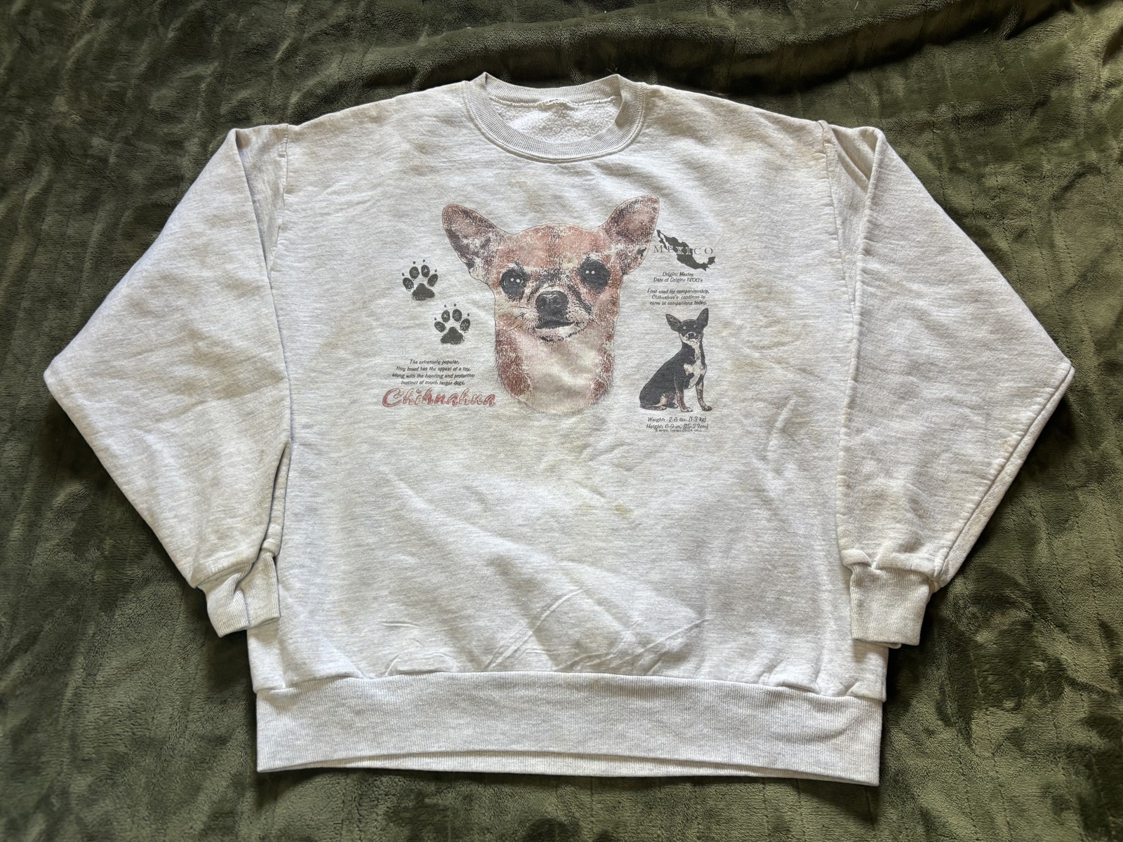 The Wild Side Sweatshirt Mens Large Gray Chihuahua Dog Graphic Crewneck Fleece