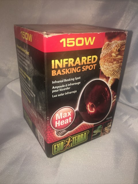 infrared basking spot