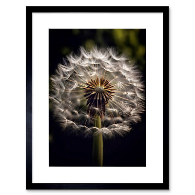 Pusteblume Blume Pappus Makro dunkel Nahaufnahme Detail gerahmter Kunstdruck 9X7