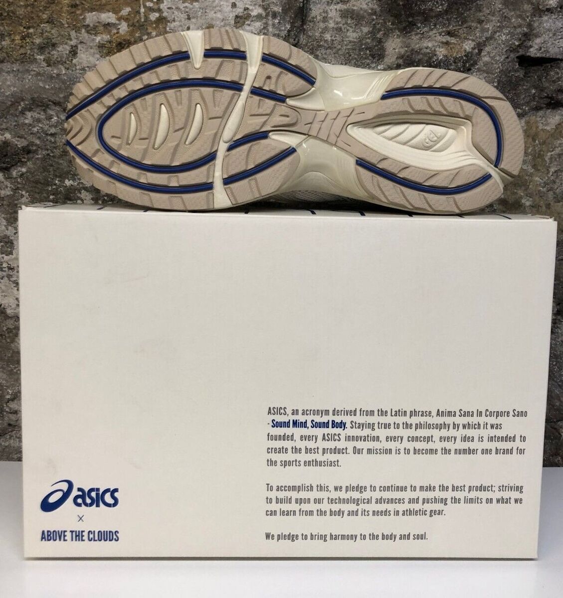 Asics Gel-1090 x Above The Clouds 1021A440-200 Birch/Royal
