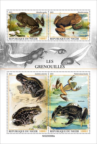 Estampillas de ranas MNH 2023 Níger M/S + S/S - Imagen 2 de 3
