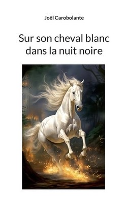 Sur son cheval blanc dans la nuit noire by Jo?l Carobolante (French) Paperback B