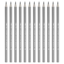 12Pcs Watercolor Pencil for Coloring, Drawing, Painting, Silver