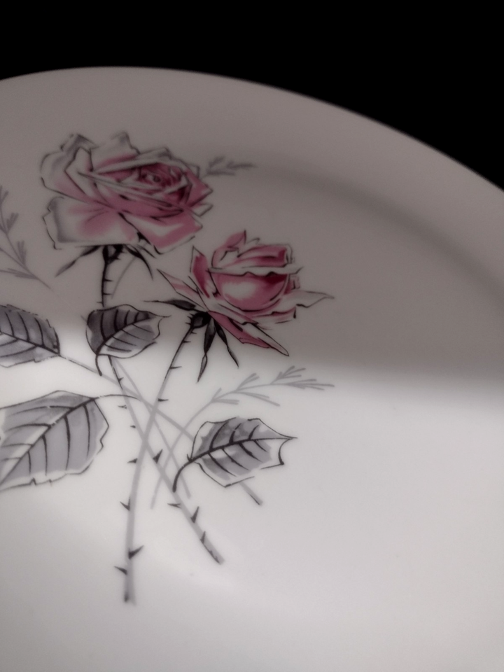 Set/5 SILVER ROSE BOHEMIAN CZECH (5) 10