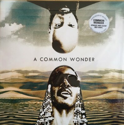 Amerigo Gazaway    A Common Wonder , Vinyl