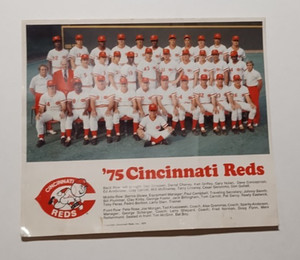 1975 CINCINNATI REDS TEAM 8X10 PHOTO Rose Bench Morgan Perez BIG RED MACHINE