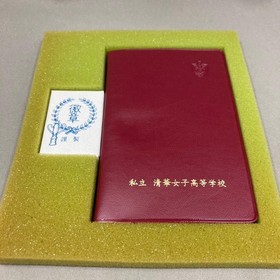 Tested and Working Sega Saturn Graduation S Special Limited Edition with Student