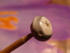 ANCIENT PYU SWAT VALLEY BANDED AGATE SOLOMON TYPE BANDED WORN EYE BEAD 9.2-7.3MM — photo 3