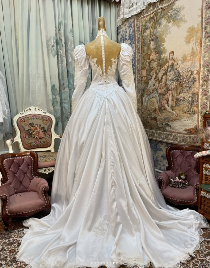 Vintage Long Sleeves Wedding Dresses Lace Appliques A Line Tulle Bridal  Gowns | eBay