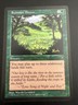 VINTAGE~MTG🌟SUMMER BLOOM🌟MAGIC the Gathering~1997