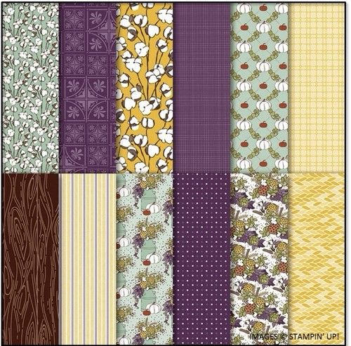 COUNTRY LANE Designer Series Paper DSP Stampin Up 12x12 Full Pack  Open 2607
