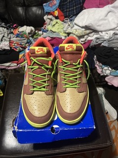 Size 13 Nike Dunk Premium SB Low Toxic Sea Robin
