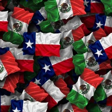 Mexico and Texas Flags - 18"x46" Hydrographic Film Hydro Dipping