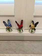 Vintage HOMCO Snow Flight Birds Set 1453 Yellow Holly Cardinal Blue Bird Winter