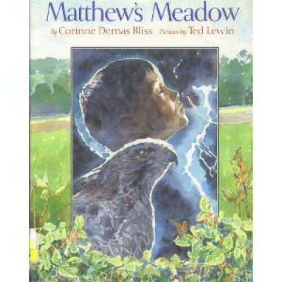 Matthew's Meadow - Library Binding By Bliss, Corinne Demas - VERY GOOD