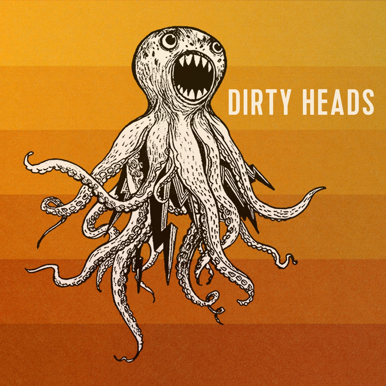 Dirty Heads Dirty Heads (Vinyl LP)