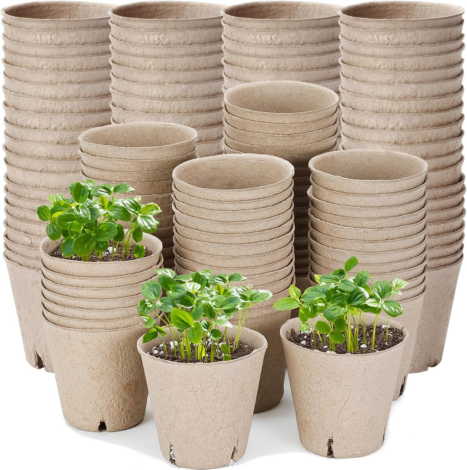 100Pcs Peat Pots for Seedlings, 3.15 Inch Biodegradable Small Nursery Pots for P