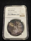 2003 American Silver Eagle 1 oz Coin NGC UNC Details Artificial Toning