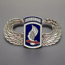 US ARMY 173RD AIRBORNE INFANTRY BRIGADE COMBAT TRAM SKY SOLDIERS PIN (P61-5)