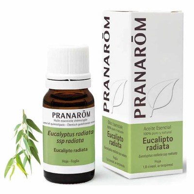 Pranarom Eucalyptus Radiata ätherisches Öl 10ml