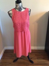 Ann Taylor Loft dress 4P, NWT