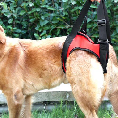 Arnés de elevación de perros cabestrillo de ayuda perros con patas débiles espalda y delantera mediano grande - Imagen 3 de 13