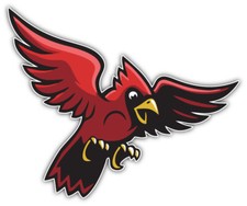 St. Louis Cardinals MLB Baseball Sport Logo Car Bumper Sticker Decal "SIZES''
