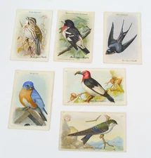 Arm & Hammer / Cow Brand Baking Soda Bird Trading Cards/Advertising Collectible